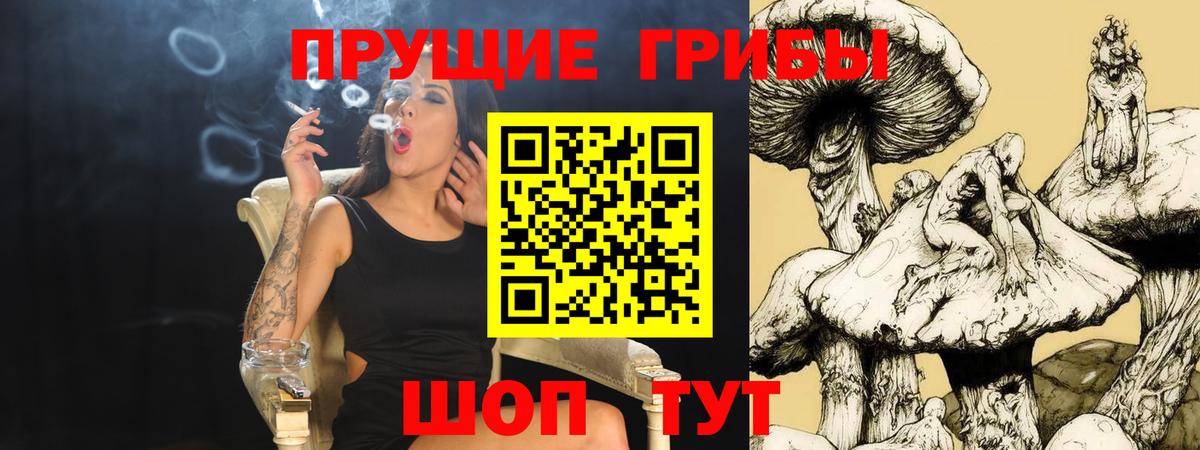 Псилоцибиновые грибы ЛСД  Вход с VPN  Бахчисарай 